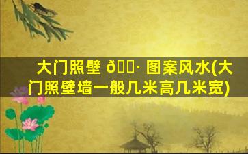 大门照壁 🕷 图案风水(大门照壁墙一般几米高几米宽)